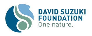 ​David Suzuki Foundation