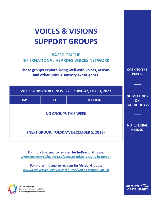 Voices & Visions Support Groups​